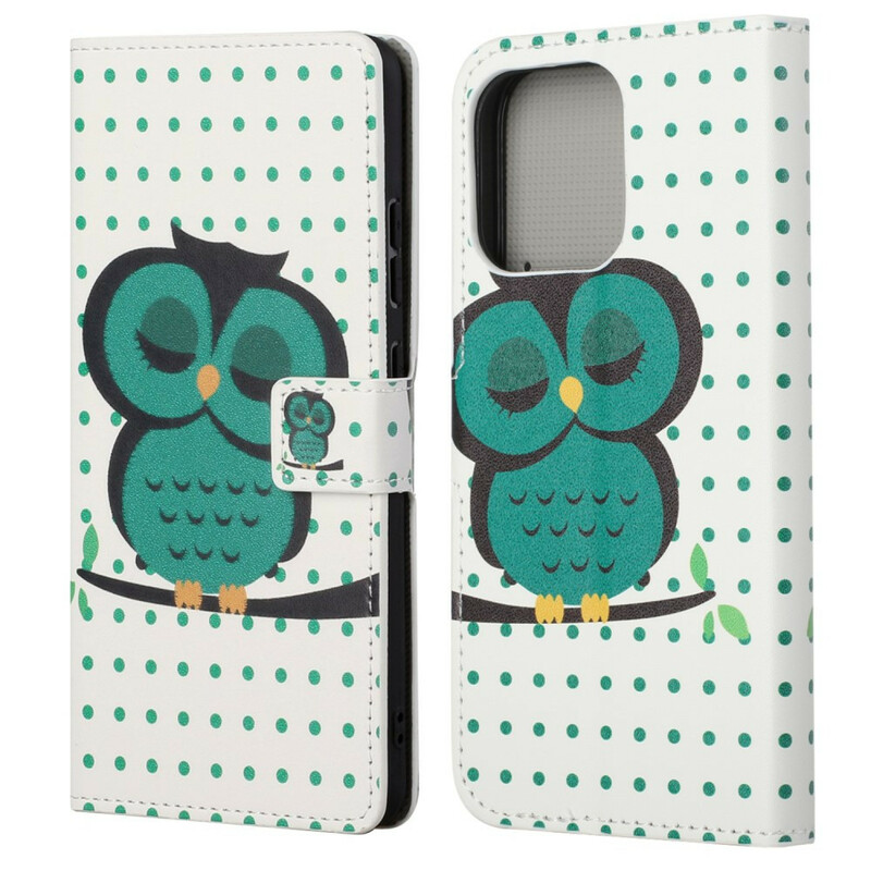 Housse iPhone 13 Hibou Endormi