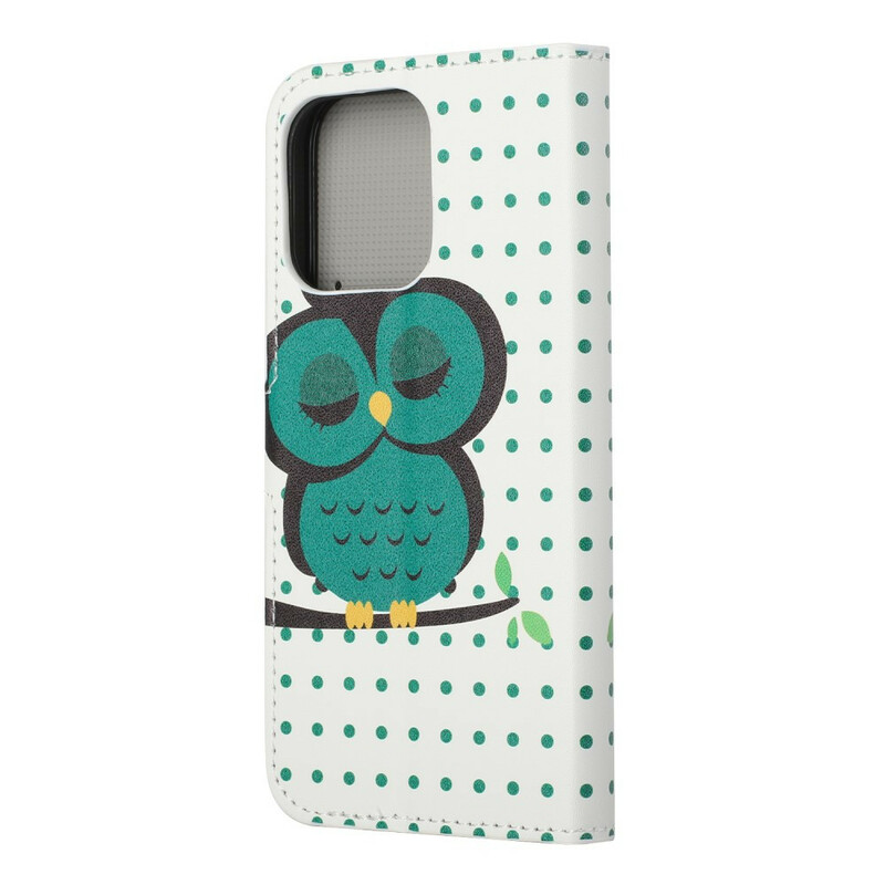 Housse iPhone 13 Hibou Endormi Housse iPhone 13 Hibou Endormi