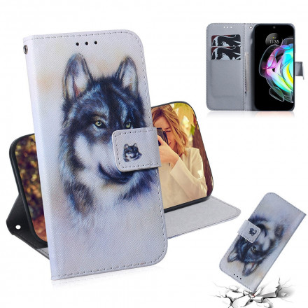 Housse Motorola Edge 20 Regard Canin Housse Motorola Edge 20 Regard Canin