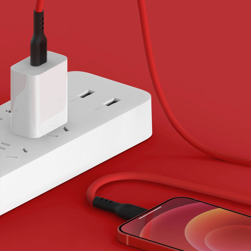 Câble de Charge Rapide 1m Ports Lightning à USB-C