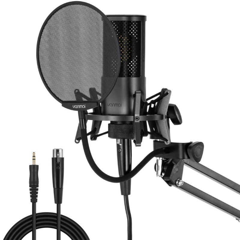 Kit de Microphone pour Enregistrement en Studio sur PC YANMAI