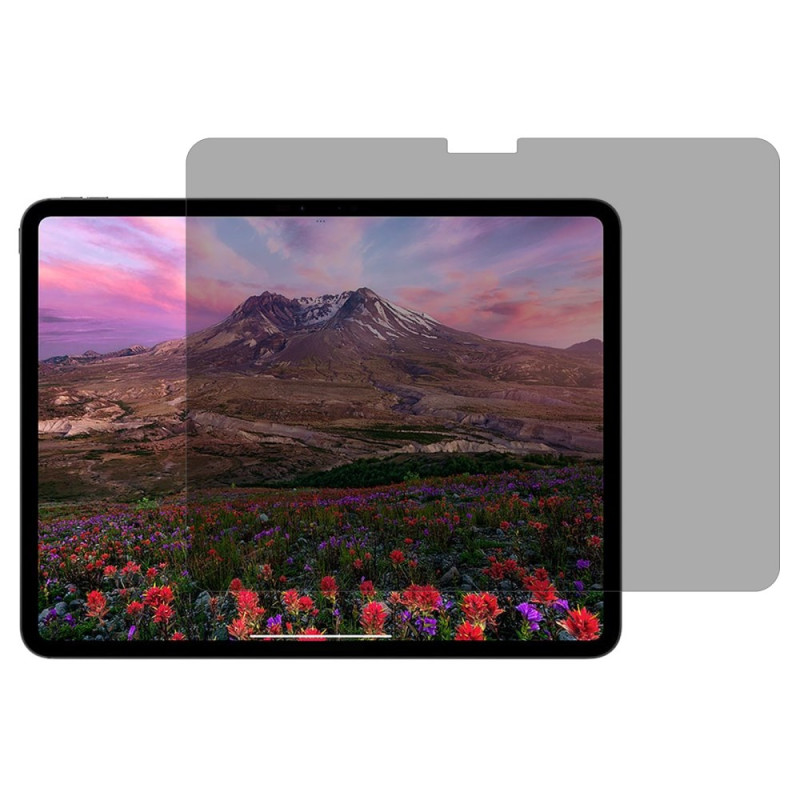 Protection en Verre Trempé Anti-Espion pour Écran iPad Air 11 (2025) (2024)