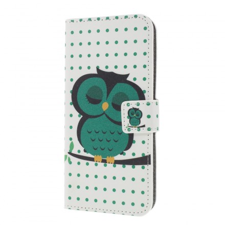 Housse Samsung Galaxy S10 Plus Hibou Endormi