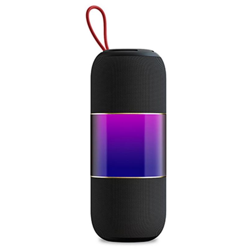 Enceinte Bluetooth avec Double Haut-Parleurs