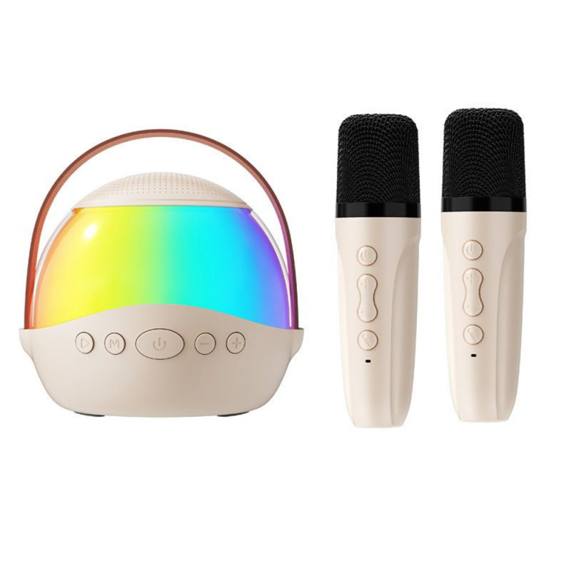 Enceinte Portable Bluetooth avec Éclairage RGB et 2 Microphones Sans Fil pour Karaoké