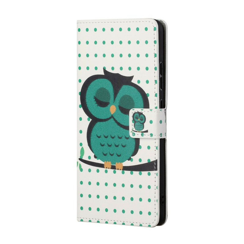 Housse Samsung Galaxy S21 5G Hibou Endormi Housse Samsung Galaxy S21 5G Hibou Endormi